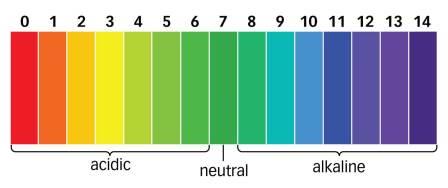 ph-scale.jpeg