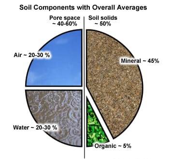 soil-components.jpg