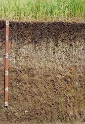 soil-profile.jpg